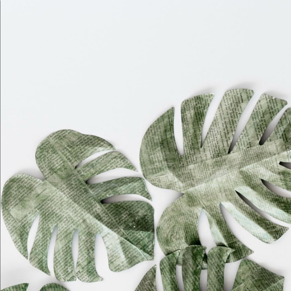 Meet your Posher, Evelyn